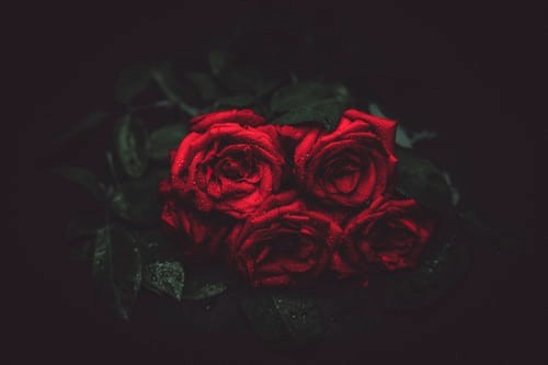 bereavement Londonpsychotherapy.org counselling for bereavement